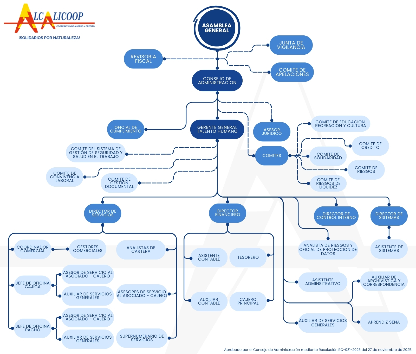 Imagen organigrama alcalicoop Organigrama Alcalicoop